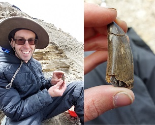 A man, smiling, with a hat and sunglasses, holds up a large, pointy brown dinosaur tooth. 